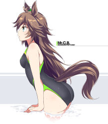 Rule 34 | 1girl, ahoge, alternate costume, animal ears, ass, black one-piece swimsuit, blue eyes, breasts, brown hair, character name, commentary request, cowboy shot, ear ornament, from side, hair ornament, hairclip, horse ears, horse girl, horse tail, long hair, medium breasts, mr. c.b. (umamusume), one-piece swimsuit, parted lips, partially submerged, shigino sohuzi, simple background, solo, swimsuit, tail, umamusume, very long hair, water, white background