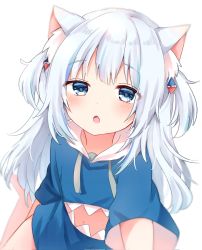 Rule 34 | 1girl, :o, animal ear fluff, animal ears, blue eyes, blue shirt, blurry, blush, cat ears, depth of field, fang, from above, gawr gura, hair ornament, highres, hololive, hololive english, kokoshira 0510, long hair, open mouth, shirt, silver hair, simple background, sitting, skin fang, soft focus, solo, virtual youtuber, wariza, white background