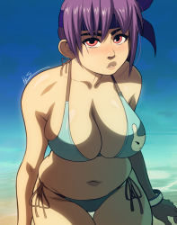 Rule 34 | 1girl, ayane (doa), beach, bikini, blush, breasts, dead or alive, dead or alive 5, exmile, female focus, headband, looking at viewer, purple hair, red eyes, solo, swimsuit, thong