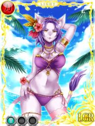Rule 34 | 1girl, alternate form, animal ears, armlet, bikini, bracelet, breasts, cat ears, cat girl, cat tail, circle of mana, claws, fangs, feathers, furry, isabella (seiken densetsu 3), jewelry, jpeg artifacts, necklace, ocean, official art, palm tree, purple hair, seiken densetsu, seiken densetsu 3, swimsuit, tail, tree, yellow eyes