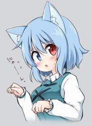 Rule 34 | 1girl, animal ear fluff, animal ears, blue eyes, blue hair, blue vest, blush, breasts, cat ears, commentary request, cropped torso, flying sweatdrops, grey background, hair between eyes, heterochromia, highres, juliet sleeves, kemonomimi mode, long sleeves, looking at viewer, medium breasts, one-hour drawing challenge, parted lips, paw pose, puffy sleeves, red eyes, shirt, short hair, simple background, solo, suwa yasai, tatara kogasa, touhou, translation request, upper body, vest, white shirt