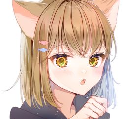 Rule 34 | 1girl, animal ears, brown eyes, brown hair, chano hinano, chestnut mouth, commentary request, fang, fish hair ornament, hair ornament, hand up, hood, hood down, looking at viewer, original, parted lips, simple background, solo, white background