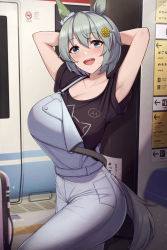Rule 34 | 1girl, :d, absurdres, alternate breast size, animal ears, armpits, arms behind head, black shirt, blue eyes, breasts, cleavage, commentary request, flower, green hair, hair flower, hair ornament, hairclip, highres, horse ears, horse girl, horse tail, huge breasts, kannko bokujou, looking at viewer, open mouth, overalls, round teeth, seiun sky (umamusume), shirt, short hair, short sleeves, smile, solo, tail, teeth, umamusume, upper teeth only