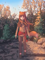 Rule 34 | 1girl, animal ears, aposine, blue sky, brown footwear, brown neckwear, brown pants, brown shirt, day, female focus, full body, highres, holo, long sleeves, looking to the side, outdoors, pants, red eyes, scarf, shawl, shirt, shoes, sky, smile, solo, spice and wolf, standing, tail, tree, wolf ears, wolf tail