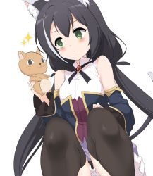 Rule 34 | + +, 1girl, animal ear fluff, animal ears, bare shoulders, black hair, black sleeves, black thighhighs, blue panties, blush, breasts, cat ears, cat girl, cat tail, commentary request, detached sleeves, feet out of frame, frilled skirt, frills, green eyes, hair between eyes, highres, holding, holding stuffed toy, karyl (princess connect!), knees up, long hair, long sleeves, low twintails, medium breasts, momio, multicolored hair, panties, parted lips, princess connect!, purple skirt, shirt, simple background, skirt, sleeveless, sleeveless shirt, solo, sparkle, squatting, streaked hair, stuffed animal, stuffed cat, stuffed toy, tail, tail raised, thighhighs, twintails, underwear, very long hair, white background, white hair, white shirt