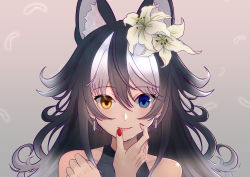 Rule 34 | 1girl, absurdres, animal ears, bare shoulders, blue eyes, closed mouth, collarbone, earrings, extra ears, feathers, fingernails, flower, gradient background, grey wolf (kemono friends), hair flower, hair ornament, heterochromia, highres, jewelry, kemono friends, light smile, lips, lipstick, long hair, looking at viewer, makeup, multicolored eyes, multicolored hair, nail polish, ponta (matsuokazieg), solo, two-tone hair, upper body, wolf ears, wolf girl, yellow eyes