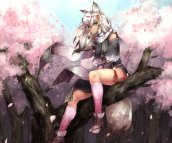 Rule 34 | 1girl, animal ears, blue eyes, cherry blossoms, fox ears, fox mask, fox tail, kageshio (276006), long hair, looking at viewer, mask, sitting, solo, tail, white hair