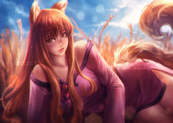 Rule 34 | animal ears, axsen, blue sky, brown hair, day, dress, holo, lens flare, long hair, pink dress, realistic, red eyes, side slit, signature, sitting, sky, smile, spice and wolf, tail, watermark, web address, wolf ears, wolf tail, yokozuwari