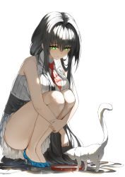 Rule 34 | 1girl, :/, bare shoulders, blue footwear, bowl, breasts, cat, closed mouth, dress, full body, green eyes, grey hair, high heels, highres, hugging own legs, large breasts, legs, long hair, looking at another, looking down, necktie, original, pet bowl, red necktie, ribbed dress, shoes, sleeveless, sleeveless dress, solo, sparkle, squatting, staring, tameiki, very long hair, white background, white cat, white dress