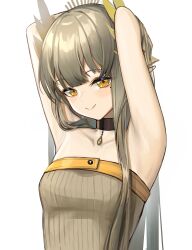 Rule 34 | 1girl, absurdres, arknights, armpits, arms up, bare shoulders, black choker, breasts, choker, commentary request, grey hair, highres, long hair, looking at viewer, mole, mole under eye, muelsyse (arknights), nopetroto, small breasts, solo, strapless, tube top, upper body, very long hair, yellow eyes