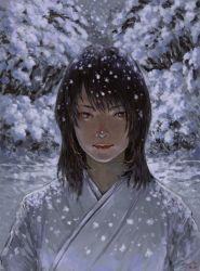 Rule 34 | 10s, 1girl, 2016, absurdres, artist name, brown eyes, brown hair, closed mouth, dated, highres, looking at viewer, original, outdoors, realistic, snow, snowing, solo, upper body, zennosuke
