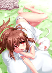 Rule 34 | 1girl, animal, ass, bare legs, barefoot, bell, brown hair, cat, chestnut mouth, eyebrows, fang, hair bell, hair between eyes, hair ornament, highres, jingle bell, legs, lennon, little busters!, long hair, looking at viewer, lying, natsume rin, oekaki, on side, open mouth, panties, pillow, ponytail, red eyes, shirt, skirt, unworn skirt, solo, sparkle, tears, underwear, white panties, zen