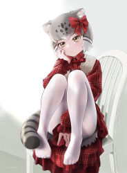 Rule 34 | 1girl, alternate costume, animal ears, beleven, blush, bow, cat ears, cat girl, cat tail, frilled sleeves, frills, grey hair, hair bow, highres, kemono friends, kemono friends 3, long sleeves, looking at viewer, multicolored hair, no shoes, official alternate costume, pallas&#039;s cat (kemono friends), pantyhose, plaid, plaid bow, plaid shirt, puffy sleeves, red bow, red shirt, shirt, short hair, sitting, solo, sweater vest, tail, white hair, white pantyhose, white sweater vest, yellow eyes