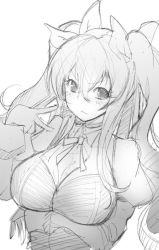Rule 34 | 1girl, animal ears, blush, breasts, cleavage, fate (series), greyscale, large breasts, long hair, looking at viewer, monochrome, sketch, solo, stormcow, suggestive, tamamo (fate), tamamo no mae (fate/extra), twintails