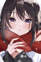 Rule 34 | 1girl, absurdres, asano (tomoli t), black sweater, brown hair, coat, enpera, hands up, highres, long sleeves, looking at viewer, original, parted lips, purple eyes, red scarf, scarf, sleeves past wrists, snowing, solo, star-shaped pupils, star (symbol), sweater, symbol-shaped pupils, upper body, white coat, winter