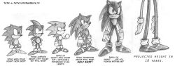 Rule 34 | height comparison, monochrome, sonic the hedgehog, sonic (series), tagme