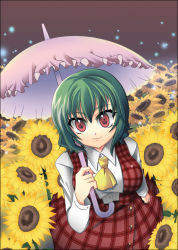 Rule 34 | 1girl, ascot, bad id, bad pixiv id, blouse, breasts, collared shirt, female focus, field, flower, flower field, from above, green hair, hair between eyes, holding, holding umbrella, impossible clothes, kazami yuuka, large breasts, looking at viewer, parasol, plaid, plaid skirt, plaid vest, red eyes, shirt, short hair, skirt, skirt set, smile, solo, sunflower, sunflower field, touhou, umbrella, vest, white shirt, yellow ascot