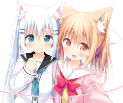 Rule 34 | 2girls, :d, absurdres, animal ear fluff, animal ears, black sailor collar, blush, bow, brown eyes, closed mouth, commentary request, green eyes, hair between eyes, hair bow, hand up, heart, highres, jacket, light brown hair, long sleeves, looking at viewer, miike-chan, multiple girls, nakkar, open clothes, open jacket, open mouth, original, pink jacket, ponytail, reaching, reaching towards viewer, sailor collar, school uniform, selfie, serafuku, shirt, sidelocks, silver hair, simple background, sleeves past wrists, smile, twintails, umimachi misaki, upper body, white background, white bow, white sailor collar, white shirt, yellow shirt