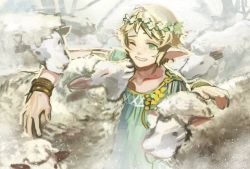 Rule 34 | 10s, androgynous, bad id, bad pixiv id, blonde hair, chain chronicle, elf, gender request, green eyes, head wreath, momo alto, pointy ears, sheep, smile