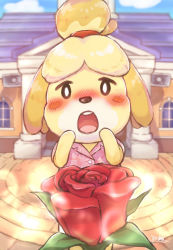 Rule 34 | 1girl, :o, animal crossing, animal ears, animal nose, black eyes, blonde hair, blue sky, blush, blush stickers, building, cloud, collared shirt, day, dog ears, dog girl, flower, furry, furry female, hands up, highres, isabelle (animal crossing), leaf print, looking at viewer, nintendo, open mouth, outdoors, pink shirt, pov, red flower, rose, shirt, sky, solo focus, speaker, standing, teeth, topknot, upper teeth only, window