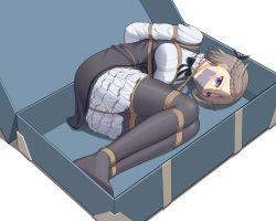 Rule 34 | 1girl, absurdres, ange (princess principal), arms behind back, bdsm, black bow, black bowtie, blouse, blue eyes, blush, bondage, bound, bound arms, bound legs, bow, bowtie, braid, breasts, crown braid, french braid, gag, gagged, grey hair, grey pantyhose, hair between eyes, highres, improvised gag, in container, in suitcase, legs together, medium breasts, pantyhose, princess principal, restrained, rope, shibari, shirt, simple background, solo, suitcase, tagme, tape, tape gag, white background, white shirt, wo cao xiao