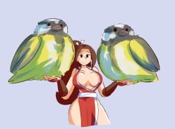 Rule 34 | 1girl, bird, bird on hand, breasts, brown eyes, brown hair, fatal fury, female focus, fupoo, japanese clothes, large breasts, long hair, oversized clothes, pelvic curtain, ponytail, pun, revealing clothes, sash, shiranui mai, side slit, sideboob, simple background, snk, solo, the king of fighters, tit (bird)