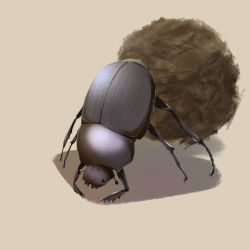 Rule 34 | animal focus, ball, beetle, black eyes, brown background, brown theme, bug, dung beetle, full body, highres, insect, jack-o&#039; challenge, no humans, oko (shazz ocho), original, simple background
