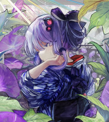 Rule 34 | 1girl, adjusting hair, bow, bug, flower, hair between eyes, hair bow, hair ornament, hand up, highres, insect, ladybug, leaf, long hair, looking back, low twintails, microa, morning glory, one eye closed, purple bow, purple eyes, purple flower, purple hair, solo, twintails, vocaloid, voiceroid, water, watering can, yuzuki yukari