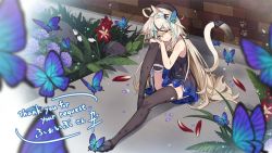 Rule 34 | 1girl, animal ears, black thighhighs, blonde hair, blurry, bug, butterfly, cat ears, cat girl, cat tail, commission, depth of field, dress, flower, grass, heterochromia, insect, kazana (sakuto), long hair, looking at viewer, plant, short dress, sitting, skeb commission, sky print, sleeveless, sleeveless dress, smile, tail, thighhighs, very long hair, vrchat