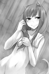 Rule 34 | 1girl, animal ears, ayakura juu, collarbone, dutch angle, flat chest, greyscale, groin, head tilt, holo, long hair, monochrome, navel, novel illustration, nude, official art, smile, solo, spice and wolf, standing, tail, towel on shoulder, wet, wet hair, wolf ears, wolf tail