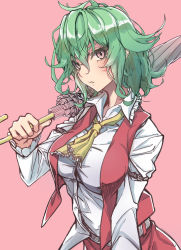 Rule 34 | 1girl, arm up, ascot, belt, black belt, breasts, closed mouth, collar, collared shirt, green hair, hair between eyes, hand up, highres, holding, holding umbrella, kakko madoka, kazami yuuka, long sleeves, looking at viewer, medium breasts, open clothes, open vest, pink background, pink eyes, red skirt, red vest, shirt, short hair, simple background, skirt, solo, teeth, touhou, umbrella, vest, white shirt, yellow ascot