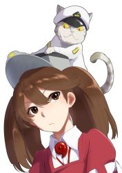 Rule 34 | 10s, 1girl, admiral (kancolle), animal, animal on head, bad id, bad twitter id, brown eyes, brown hair, cat, collared shirt, commentary request, hair between eyes, hat, japanese clothes, kantai collection, kariginu, magatama, military, military hat, military uniform, non-human admiral (kancolle), on head, peaked cap, ryuujou (kancolle), shaded face, shirt, simple background, tachikoma (mousou teikoku), twintails, uniform, upper body, visor cap, white background