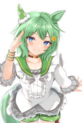Rule 34 | 1girl, absurdres, animal ears, blue eyes, blue hair, breasts, brown choker, choker, commentary, commentary request, cowboy shot, ear covers, english commentary, flower, green shorts, grey skirt, hair flower, hair ornament, highres, horse ears, horse girl, horse tail, kudo (user dzch8572), long sleeves, looking at viewer, miniskirt, parted lips, pendant choker, seiun sky (umamusume), shirt, short hair, shorts, simple background, single ear cover, skirt, small breasts, smile, solo, tail, thigh strap, umamusume, white background, white shirt