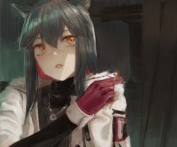 Rule 34 | 1girl, animal ears, arknights, black hair, brown eyes, cigarette, gloves, hair between eyes, highres, holding, holding cigarette, jacket, jewelry, long hair, looking to the side, necklace, noccu, official alternate costume, red gloves, solo, texas (arknights), upper body, wolf ears