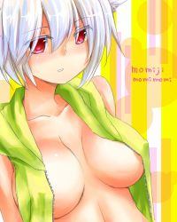 Rule 34 | 1girl, animal ears, bad id, bad pixiv id, bare shoulders, blush, breasts, breasts apart, cleavage, collarbone, female focus, inubashiri momiji, jacket, large breasts, no bra, open clothes, open jacket, red eyes, sawatari (sado), short hair, silver hair, solo, touhou, upper body, vest, wolf ears