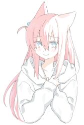 Rule 34 | 1girl, animal ears, blue eyes, blush, bocchi the rock!, cat ears, cat girl, closed mouth, collarbone, cube hair ornament, female focus, gotoh hitori, hair between eyes, hair ornament, hood, hood down, hoodie, looking at viewer, pink hair, simple background, sk tsu96, solo, solo focus, straight hair, white background, white hoodie