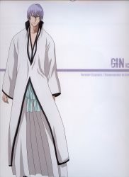 Rule 34 | bleach, highres, ichimaru gin, male focus, short hair, white hair