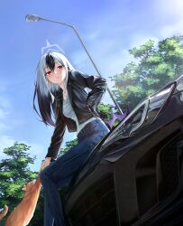 Rule 34 | 1girl, absurdres, animal, black hair, black jacket, blue archive, blue pants, blush, car, cat, closed mouth, day, demon wings, grey hair, grey halo, hair between eyes, halo, highres, jacket, kayoko (blue archive), long hair, long sleeves, ly 7317, motor vehicle, open clothes, open jacket, outdoors, pants, red eyes, single wing, solo, tree, wings