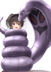 Rule 34 | 1girl, arbok, black hair, brown eyes, cobra (animal), comiching, commentary request, commission, constriction, creatures (company), game freak, gen 1 pokemon, hat, highres, kantai collection, mini hat, nintendo, pokemon, pokemon (creature), short hair, short hair with long locks, sidelocks, simple background, skeb commission, smokestack hair ornament, snake, tokitsukaze (kancolle), white background
