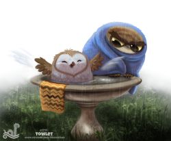 Rule 34 | 2017, ^ ^, animal focus, artist name, bathing, bird, black eyes, closed eyes, colored sclera, english text, closed eyes, grass, looking at another, no humans, open mouth, original, outdoors, owl, piper thibodeau, rain, splashing, spread wings, thick eyebrows, towel, water, watermark, web address, white background, yellow sclera