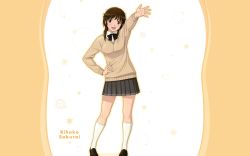 Rule 34 | amagami, blush, brown eyes, brown hair, highres, sakurai rihoko, wallpaper
