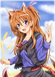 Rule 34 | 1girl, animal ears, blue eyes, blue shirt, blush, brown hair, cosplay, diesel-turbo, eyelashes, holo, holo (cosplay), houjou hibiki, koshimizu ami, long hair, look-alike, looking at viewer, open mouth, orange hair, pouch, precure, voice actor connection, shirt, solo, spice and wolf, suite precure, tail, two side up, wheat, wolf ears, wolf tail