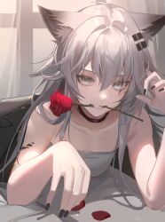 Rule 34 | 1girl, animal ears, arknights, bare shoulders, black choker, black nails, choker, flower, grey eyes, grey hair, grin, highres, indoors, kernel killer, lappland (arknights), long hair, looking at viewer, material growth, mouth hold, nail polish, oripathy lesion (arknights), red flower, red rose, revision, rose, smile, solo, strapless, teeth hold, tube top, wolf ears