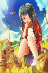 Rule 34 | 1girl, aiuabo, bird, black hair, blue nails, blush, closed mouth, cloud, cloudy sky, eating, fence, food, grass, gym shirt, gym shorts, gym uniform, hair over one eye, highres, house, jersey, legs, long hair, nail polish, onigiri, original, outdoors, plant, ponytail, red eyes, shirt, shoes, shorts, sitting, sky, smile, sneakers, solo, thighs, tree, white footwear