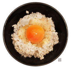 Rule 34 | bowl, egg, egg yolk, food, food focus, momiji mao, no humans, original, rice, rice bowl, simple background, sparkle, still life, tamagokake gohan, white background