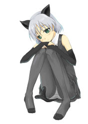 Rule 34 | 00s, 1girl, animal ears, black pantyhose, cat ears, cat tail, elbow gloves, feet, gloves, green eyes, pantyhose, sanya v. litvyak, solo, strike witches, tail, toes, world witches series