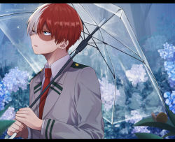 Rule 34 | 1boy, blue eyes, blue flower, boku no hero academia, burn scar, collared shirt, commentary request, flower, from side, grey eyes, heterochromia, highres, holding, holding umbrella, letterboxed, long sleeves, male focus, miyanami 3, multicolored hair, open mouth, outdoors, red hair, red neckwear, scar, school uniform, shirt, short hair, snail, snail shell, solo, todoroki shouto, transparent, transparent umbrella, tree, two-tone hair, u.a. school uniform, umbrella, upper body, white hair, white shirt