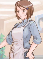 Rule 34 | 00s, 1girl, apron, blush, brown eyes, brown hair, casual, female focus, hair ornament, hairclip, hand on own hip, hip focus, indoors, aged up, rozen maiden, scissors, short hair, sleeves rolled up, solo, souseiseki, tsuda nanafushi