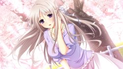 Rule 34 | 1girl, cherry blossoms, game cg, grey hair, hatsukoi 1/1, iizuki tasuku, long hair, makabe midori, open mouth, petals, purple eyes, tagme