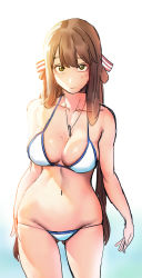 Rule 34 | 1girl, artist request, bad id, bad pixiv id, barefoot, bikini, blush, breasts, brown hair, cleavage, closed mouth, collarbone, from behind, girls&#039; frontline, gluteal fold, gradient background, green eyes, groin, hair between eyes, hair ribbon, hair rings, highres, jewelry, large breasts, long hair, looking at viewer, lowleg, lowleg bikini, navel, necklace, ribbon, sidelocks, simple background, skindentation, smile, springfield (girls&#039; frontline), stomach, swimsuit, thighs, wavy mouth